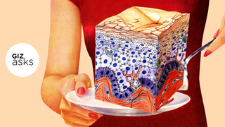 How Much Human Skin Does a Person Ingest Over the Course of Their Lifetime?<em></em>